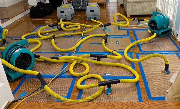 Professional Sewage Cleanup technician working in Flora, IN